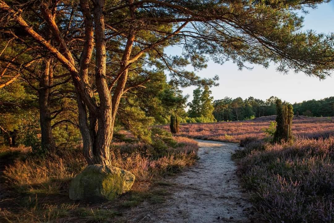 Duemmerliebe Mit Garten, 10 Min. Fusslaeufig Zum See Hude  Exterior photo