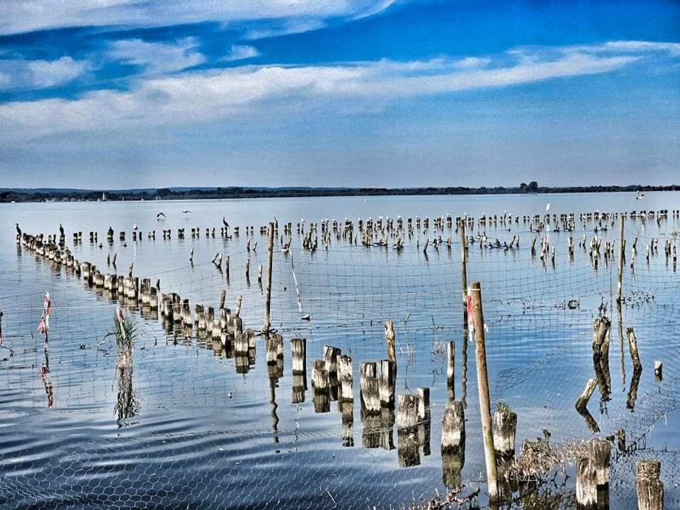 Duemmerliebe Mit Garten, 10 Min. Fusslaeufig Zum See Hude  Exterior photo